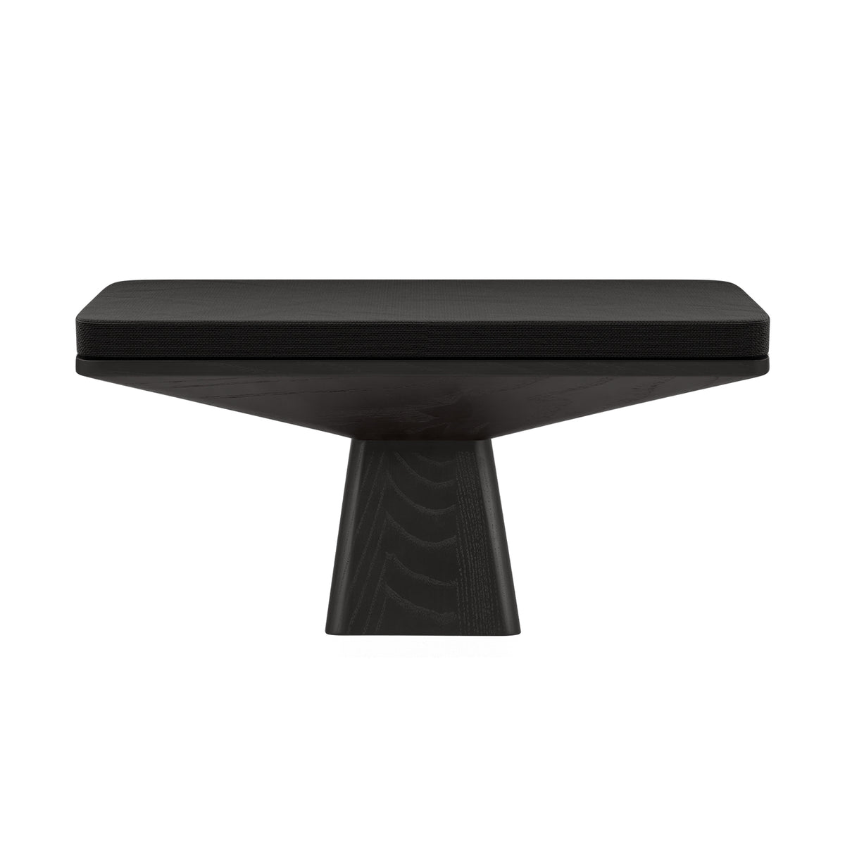 Magnetic Cushion