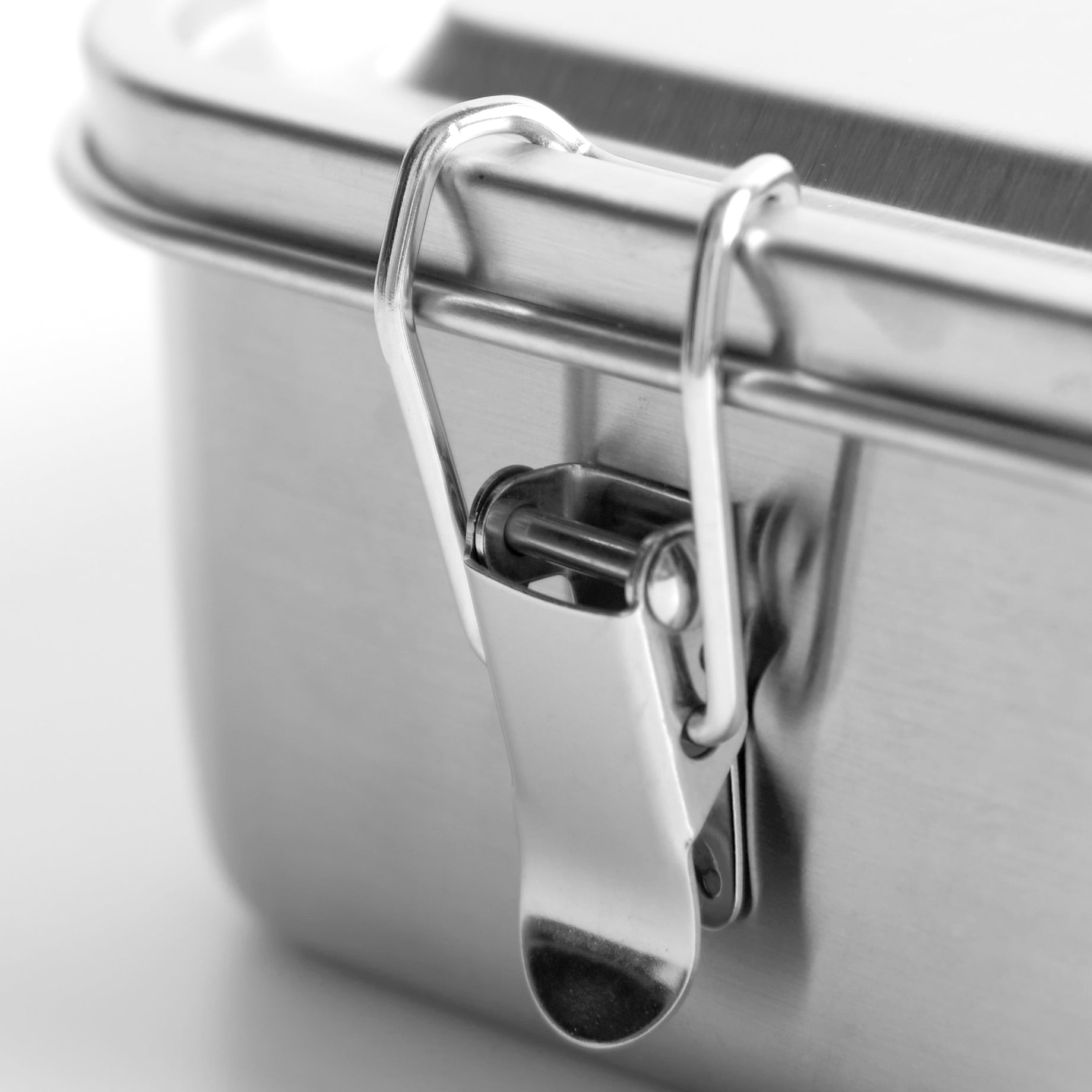 ASRV x SIGG Gemstone Box stainless steel container with clasp detail closeup