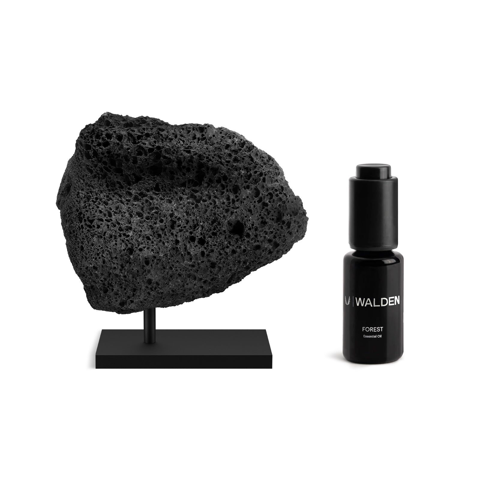 of ASRV x Walden lava rock essential oil diffuser in black with Forest oil bottle