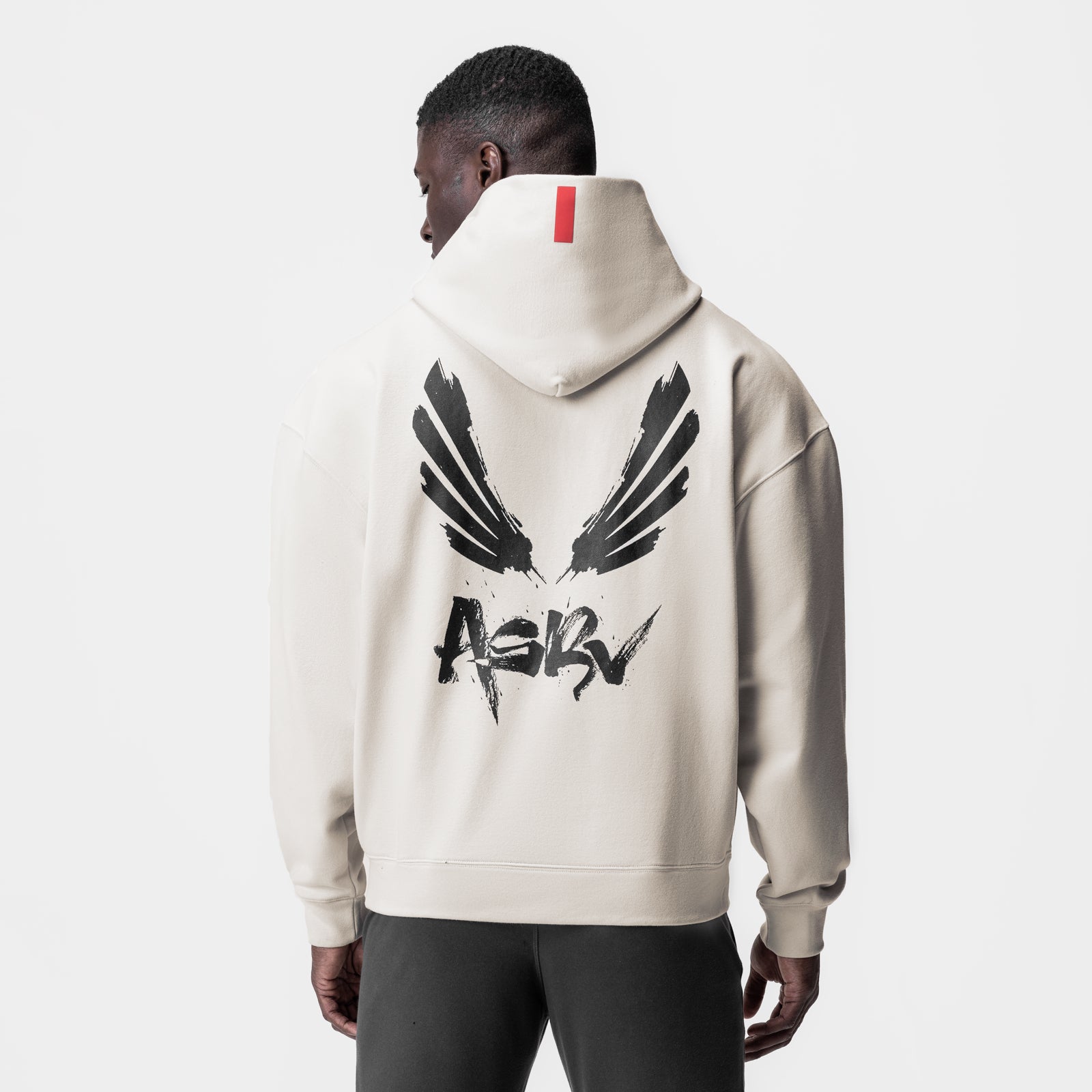 Tech-Terry Zip Pocket Hoodie in stone with brush wings graphic, back view on model