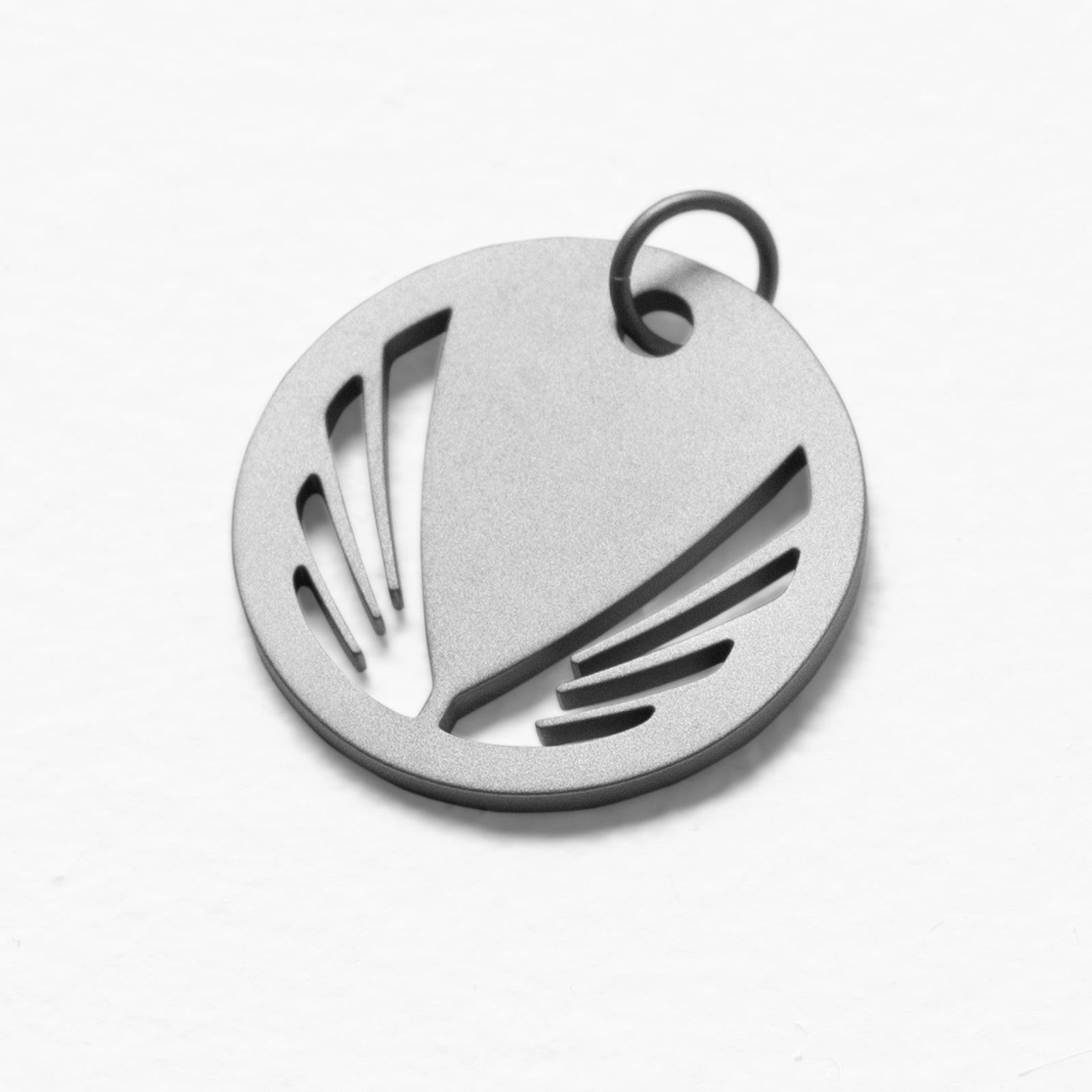 Wings Coin Pendant in stainless steel, top view
