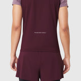 w086  aerosilver  up merlot 02